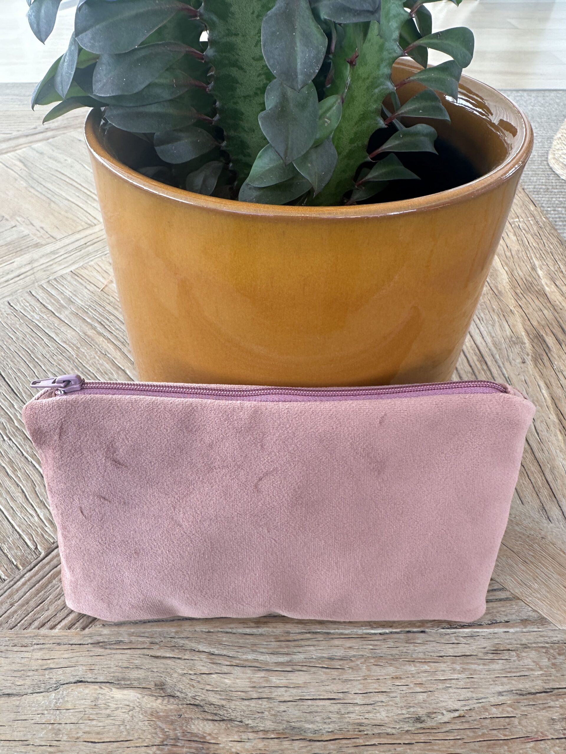 Carterita Rosa Plumas - Imagen 2